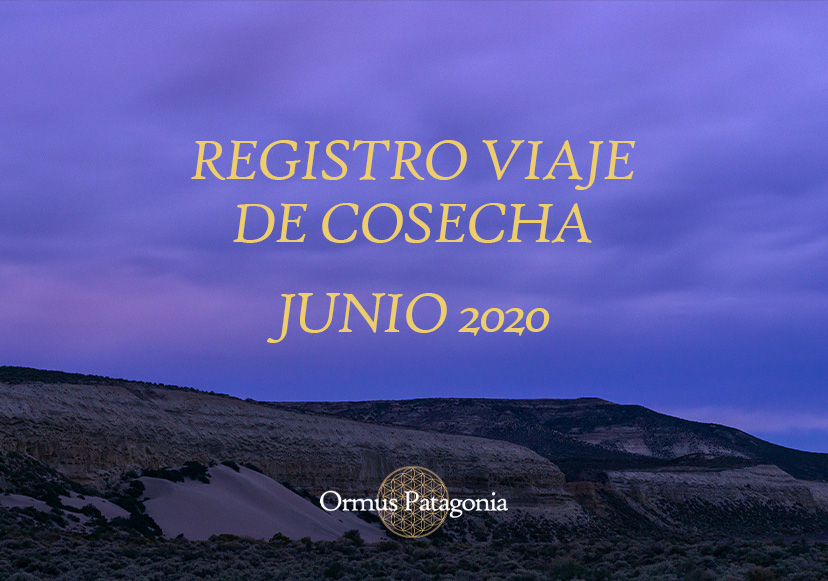 Registro Viaje de Cosecha – Junio 2020