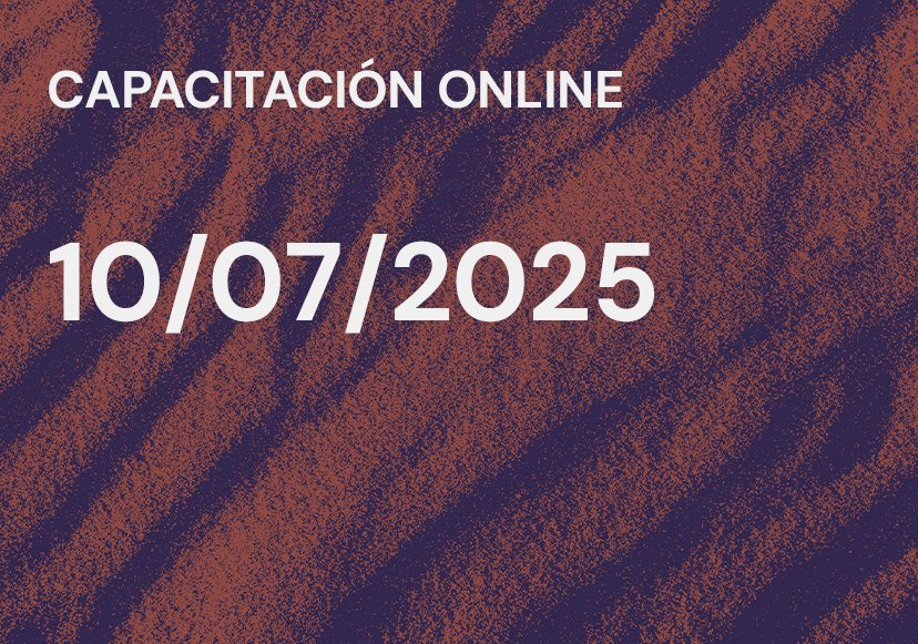 Capacitación 10 de Julio de 2025